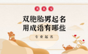 雙胞胎男起名用成語(yǔ)有哪些