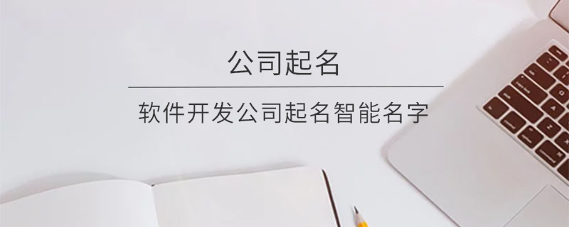 軟件開發公司起名智能名字