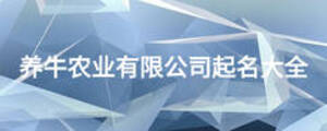 養(yǎng)牛農(nóng)業(yè)有限公司起名大全