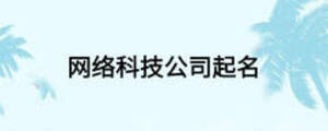 網(wǎng)絡科技公司起名