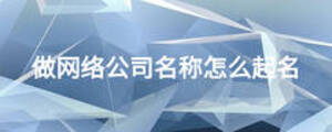 做網(wǎng)絡公司名稱怎么起名