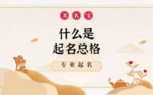 什么是起名總格，哪家公司起名靠譜