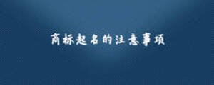 商標(biāo)起名的注意事項