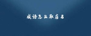 成語怎么取店名