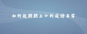 如何起朗朗上口的成語(yǔ)名字