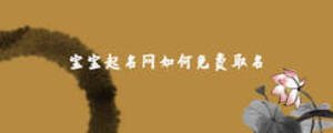 寶寶起名網(wǎng)如何免費取名