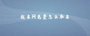 起名網免費怎么取名