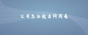 公司怎么起名網周易