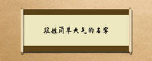 段姓簡單大氣的名字