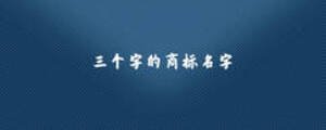 三個(gè)字的商標(biāo)名字