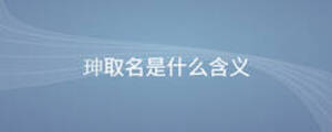珅取名是什么含義