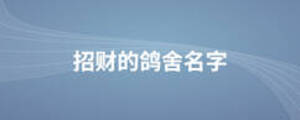 招財(cái)?shù)镍澤崦? width=