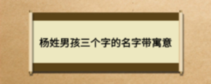 楊姓男孩三個字的名字帶寓意