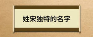 姓宋獨(dú)特的名字