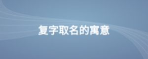 公司2 (3).png