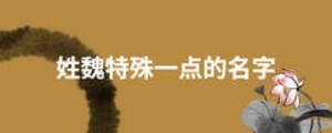 姓魏特殊一點的名字