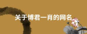 關(guān)于博君一肖的網(wǎng)名