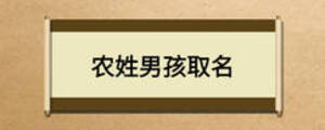 農(nóng)姓男孩取名