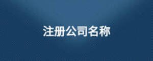 注冊(cè)公司名稱(chēng)