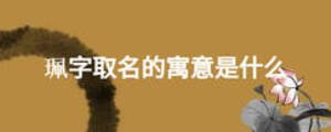 珮字取名的寓意是什么