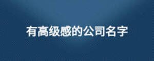 有高級感的公司名字