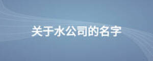 關于水公司的名字