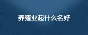養(yǎng)殖業(yè)起什么名好