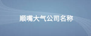 順嘴大氣公司名稱