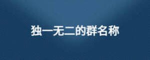 獨(dú)一無二的群名稱