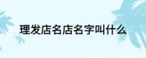 理發(fā)店名店名字叫什么