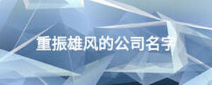 重振雄風(fēng)的公司名字