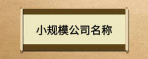 小規(guī)模公司名稱