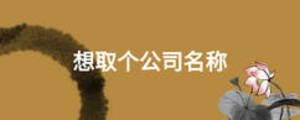 想取個(gè)公司名稱