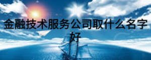 金融技術服務公司取什么名字好