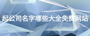 起公司名字哪些大全免費網站