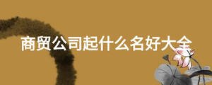 商貿(mào)公司起什么名好大全