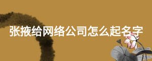 張掖給網(wǎng)絡公司怎么起名字