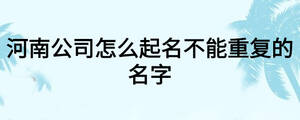 河南公司怎么起名不能重復(fù)的名字