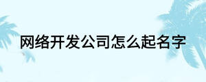 網(wǎng)絡開發(fā)公司怎么起名字