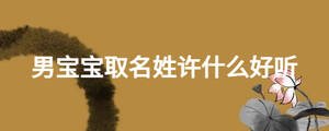 男寶寶取名姓許什么好聽(tīng)