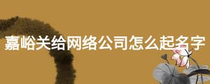 嘉峪關(guān)給網(wǎng)絡(luò)公司怎么起名字