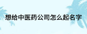 想給中醫(yī)藥公司怎么起名字