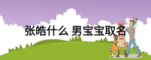 張皓什么 男寶寶取名