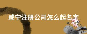 咸寧注冊公司怎么起名字