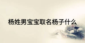 楊姓男寶寶取名楊子什么