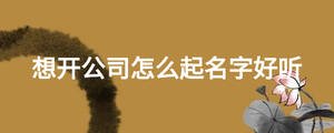 想開(kāi)公司怎么起名字好聽(tīng)
