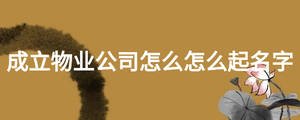 成立物業公司怎么怎么起名字
