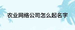 農(nóng)業(yè)網(wǎng)絡(luò)公司怎么起名字