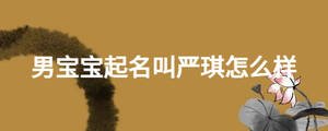 男寶寶起名叫嚴琪怎么樣