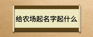 給農場起名字起什么